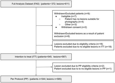 Effectiveness of an image analyzing AI-based Digital Health Technology to identify Non-Melanoma Skin Cancer and other skin lesions: results of the DERM-003 study